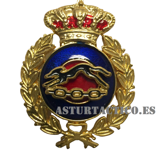 DISTINTIVO PROFESOR EDUCACION FISICA  DEL EJERCITO